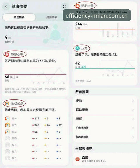 揭秘米兰应用95RV中国版：一个技术评测员的实测手记，效率尺度的真实校准