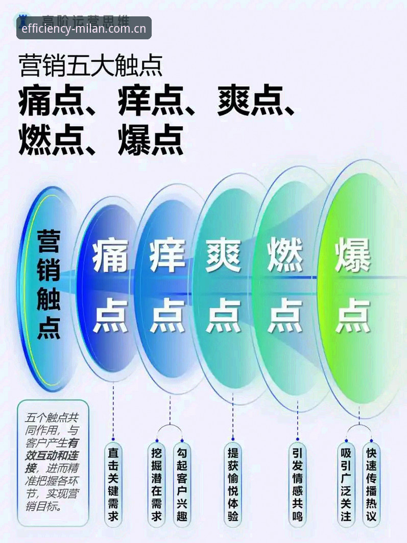效率尺度rv登录下载常见问题深度分析：老用户视角下的五大核心痛点与解决方案